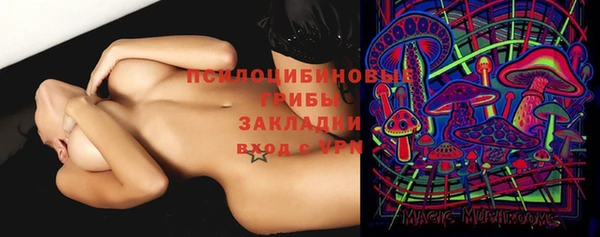 прущая мука Абаза