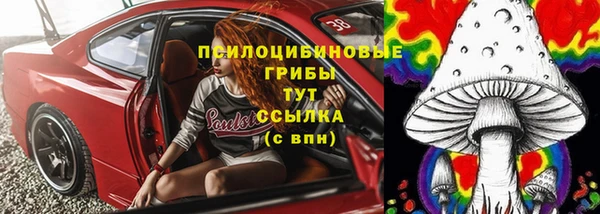 прущая мука Абаза