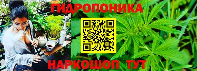 дмт Лесосибирск
