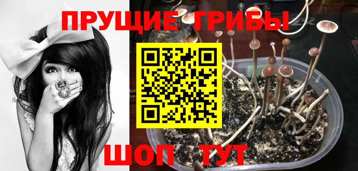 Псилоцибиновые грибы мицелий  Вход с VPN  Домодедово 